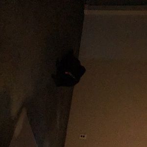 Meet your Posher, Ron